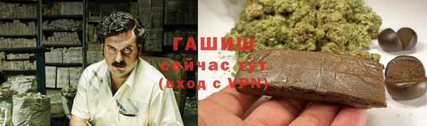 индика Арсеньев