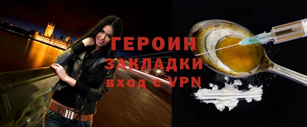 индика Арсеньев