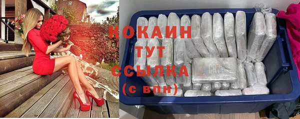 дживик Аркадак