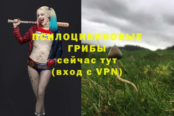 индика Арсеньев