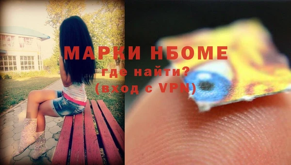 индика Арсеньев