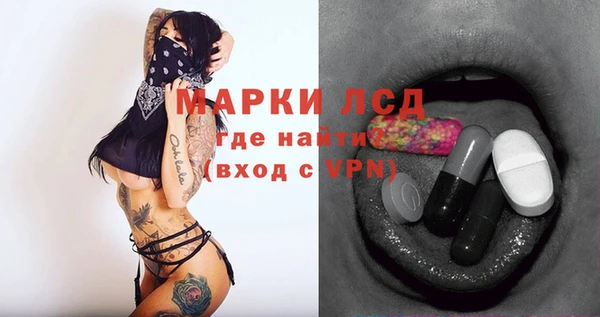 индика Арсеньев
