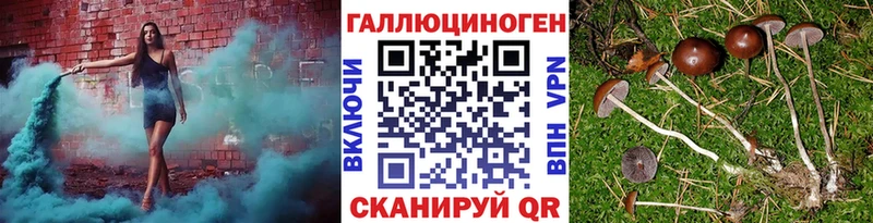 продажа наркотиков Чайковский Псилоцибиновые грибы Magic Shrooms
